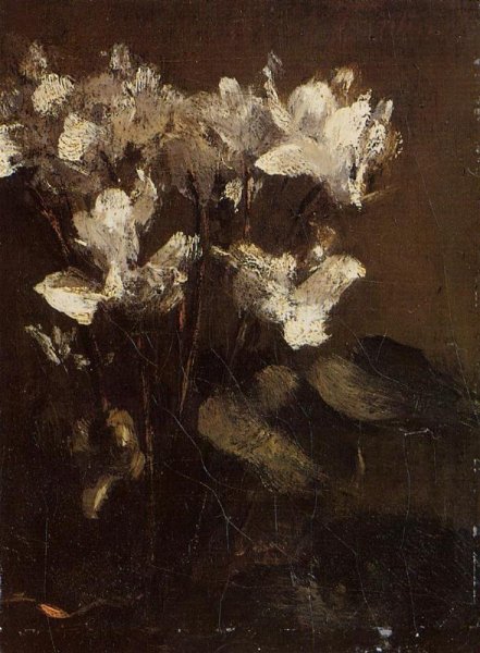 Fleurs, cyclamens