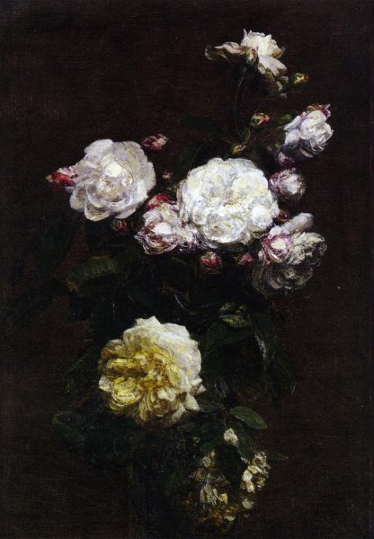 White Roses II