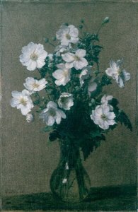 Japanese Anemones