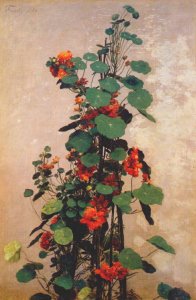 Nasturtiums 2