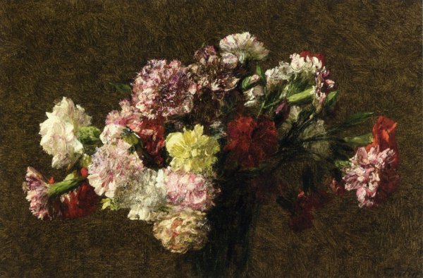 Carnations 2